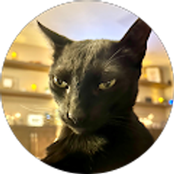 Profile photo of Sherrie Stutts