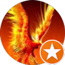 Profile photo of Bob P