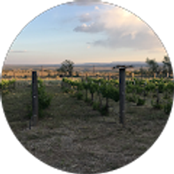 Profile photo of C McCullough