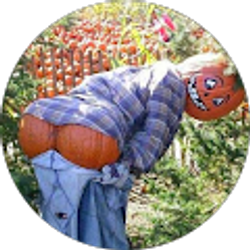 Profile photo of Roy Hamlin