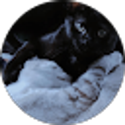 Profile photo of Michi 325