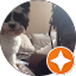 Profile photo of Random Boredom