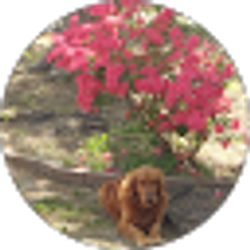 Profile photo of Richard Rayl
