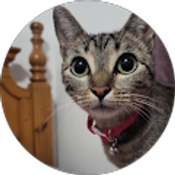 Profile photo of Verónica Aguilar