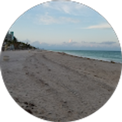 Profile photo of Michael Ferreira