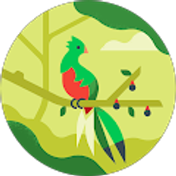 Profile photo of Susan Lubeck