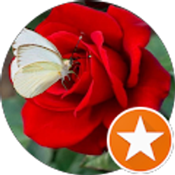 Profile photo of Claudia