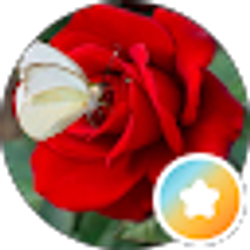 Profile photo of Claudia
