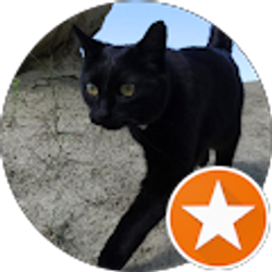 Profile photo of alisha johnson