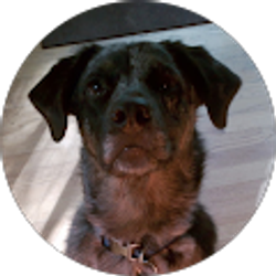 Profile photo of Mike Kessler