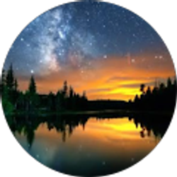 Profile photo of Marcus Paxton