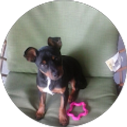 Profile photo of Jeff Hardy