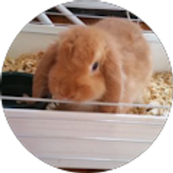 Profile photo of Samantha