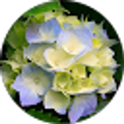 Profile photo of Samantha Becker