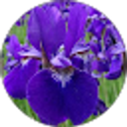 Profile photo of Melissa Hayes
