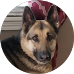 Profile photo of L C