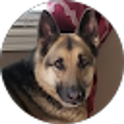 Profile photo of L C