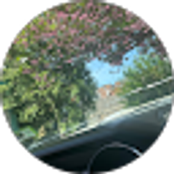 Profile photo of Diego Alvarez