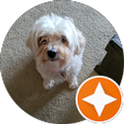 Profile photo of Jo Behm