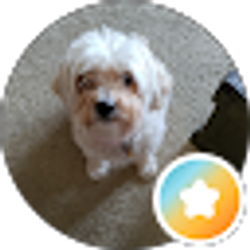 Profile photo of Jo Behm