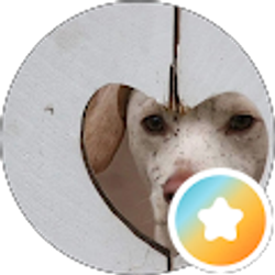 Profile photo of Candi Swinscoe