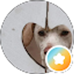 Profile photo of Candi Swinscoe