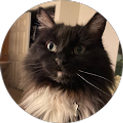 Profile photo of Tessa L