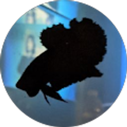 Profile photo of Ryan Xymox