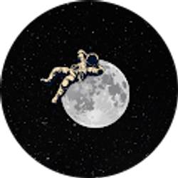 Profile photo of Shlok Kadakia