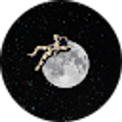 Profile photo of Shlok Kadakia