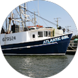 Profile photo of Stephen O