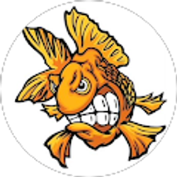 Profile photo of Crazy Goldfish