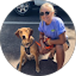 Profile photo of Anna Wright