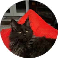 Profile photo of Roxanne L