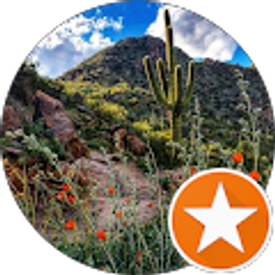 Profile photo of Kathy Mitchell