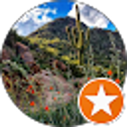 Profile photo of Kathy Mitchell