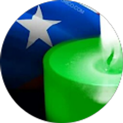 Profile photo of Leida Burgos