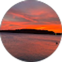 Profile photo of Dan Lewis