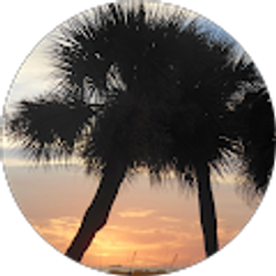 Profile photo of Ann Sandri