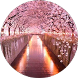 Profile photo of Julie Nguyen