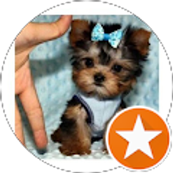 Profile photo of Munchichi