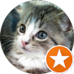 Profile photo of Robert La Nunziata