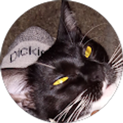 Profile photo of Shakayah Anthuyah