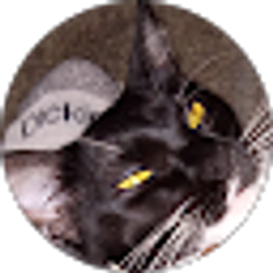 Profile photo of Shakayah Anthuyah