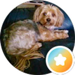 Profile photo of Trudy Johnson