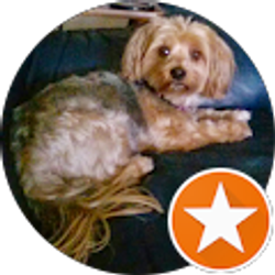 Profile photo of Trudy Johnson