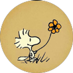 Profile photo of Ashley Antuna