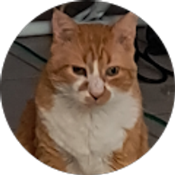 Profile photo of Maureen Red Elk