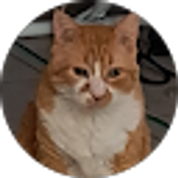 Profile photo of Maureen Red Elk