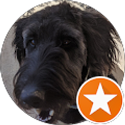 Profile photo of Erin Dillon